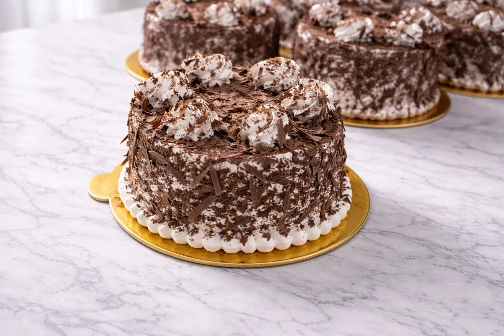 WhatsApp Image 2026-04-08 at 11.21.23 PM.webp